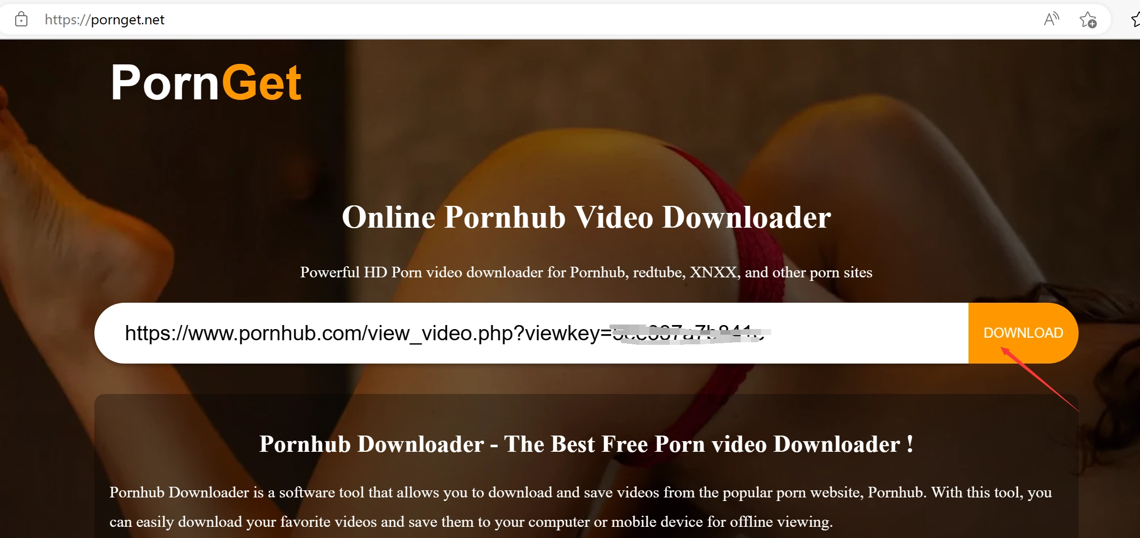 how to use online pornhub downloader step 1
